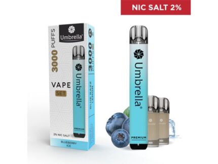 VAPE 3000 PUFFS SET Blueberry Ice 2%